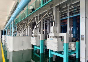 東方集團現代農業板塊加速新米生產，東方糧倉方正園區全力沖刺旺季